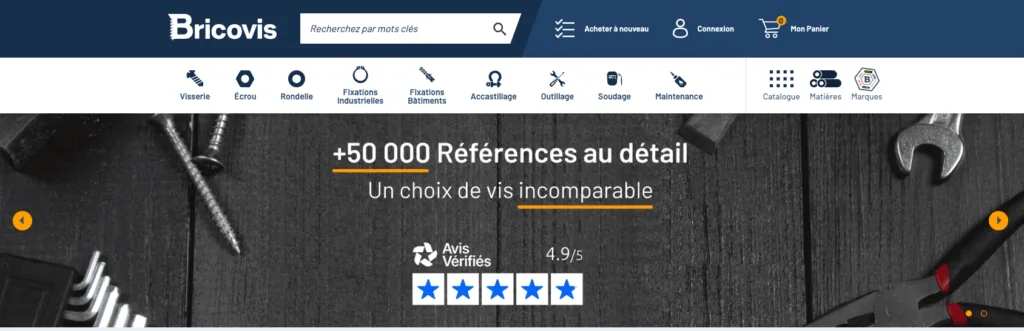 Page d'accueil du site Bricovis après la refonte